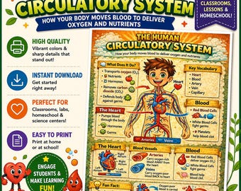 Human Circulatory System Poster NGSS aligned PDF printable