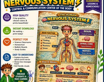 Human Nervous System Poster NGSS aligned PDF printable