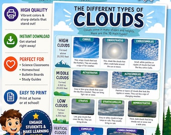 Different Types of Clouds Poster | Weather Classroom Decor | Middle School Science Poster | Printable Science Wall Art