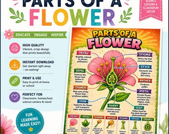 Parts of a Flower Poster Printable | Science Classroom Decor