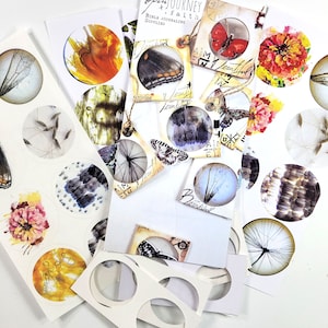 Beautiful 3 - ADD ON Specimen slide making kit and circular stickers