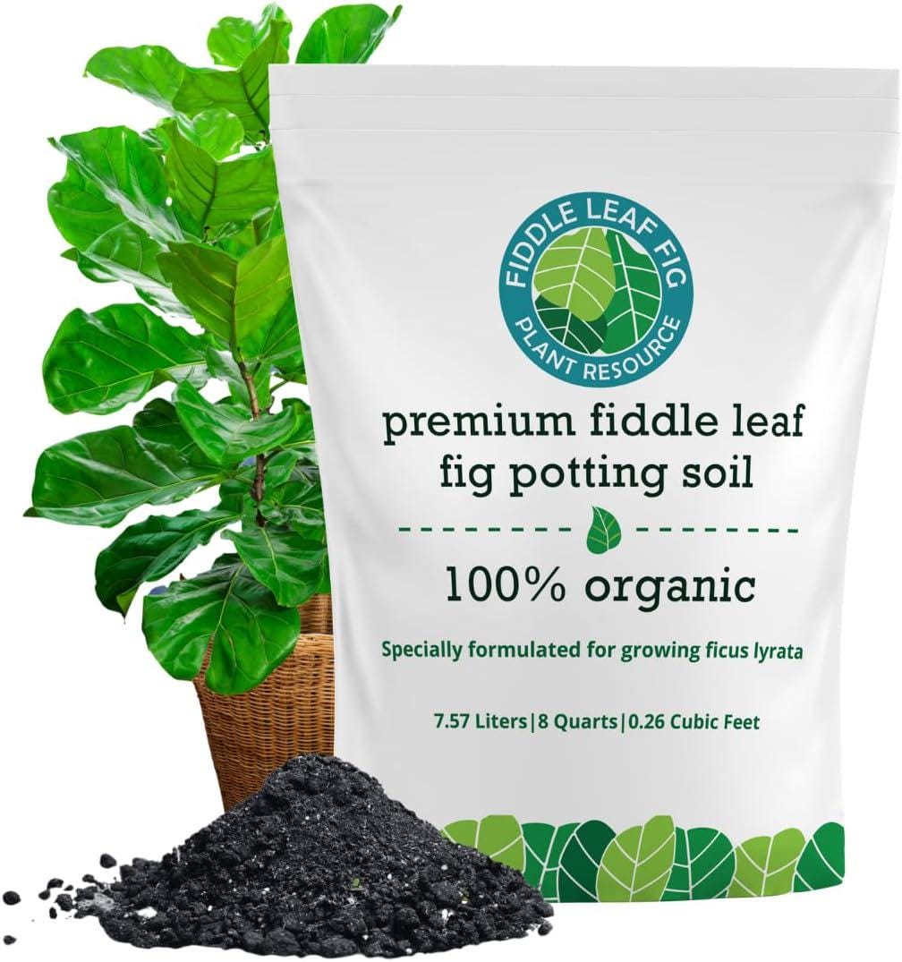 indoor pots for plants The Tendril Planter