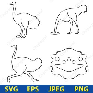 Ostrich Svg, Png Clipart, Digital Exotic Bird Designs, Svg File, Safari Art, Ostrich Vector, Wild Bird Eps, Illustration Set