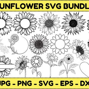Sunflower svg Bundle, Sunflower svg, Sunflower Quotes svg, Svg Files for Cricut, cut file, eps png svg