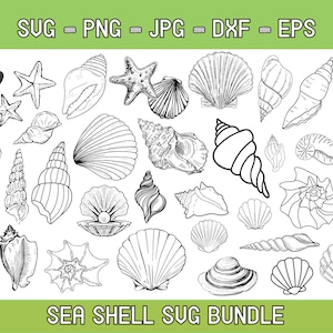 Seashell SVG Bundle, Seashell PNG Bundle, Seashell Clipart, Seashell SVG Cut Files for Cricut, Seashell Silhouette