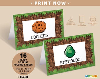Printable Minecraft Food Cards | Set of 16 | DIY Birthday Party Decor | Mine Game Themed Pixel Art | Video Game Party Snack Food Tent Labels
