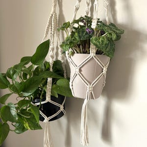 May include: Two macrame plant hangers with white cord and tassels. One hanger holds a green plant in a black pot, and the other holds a green plant with purple flowers in a pale pink pot.