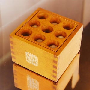 Wooden Brain Teaser Puzzle | Thirty-Six Stratagems IQ Logic Game | Mind Challenge for Adults & Kids