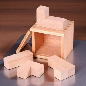 Magic IQ Oblique Blocks Puzzle | Wooden Brain Teaser Logic Game | Smart IQ Test Educational Toy for Kids & Adults | Mind Challenge Gift