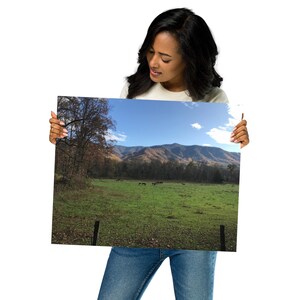 Cades Cove Great Smoky Mountains National Park Poster: Fall Horse Wall Art - 3 Size Options