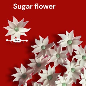 Sugar Paste Flower Jasmine Cake Decorations Cupcakes Fondant Floral