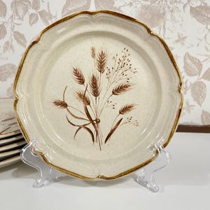 Set of 6 International China Endura Collection Dessert Plates – SY 7825 Bounty Stoneware made in Japan - Rustic Farmhouse Dinnerware