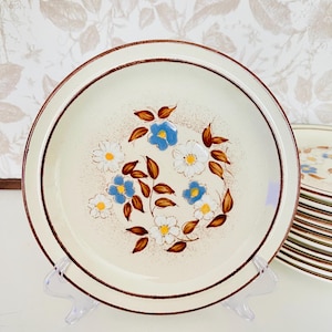 Vintage Hand-painted Floral Plates - Forma-Stone Designer Plate -  Serenita Love Collection - Set of 6 or 12 plates