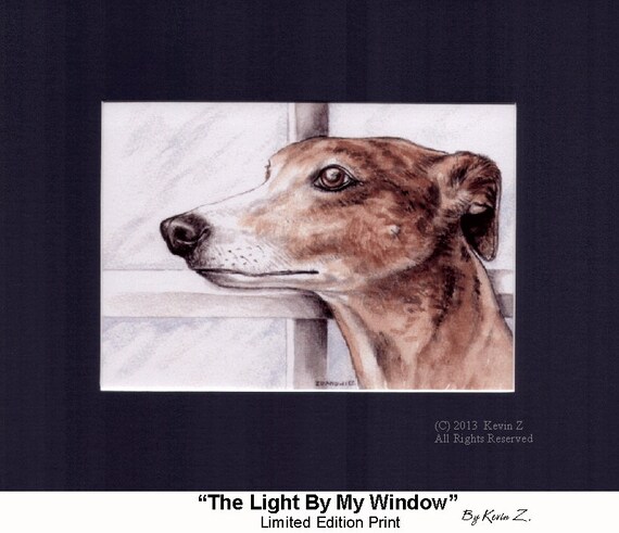 light brindle greyhound