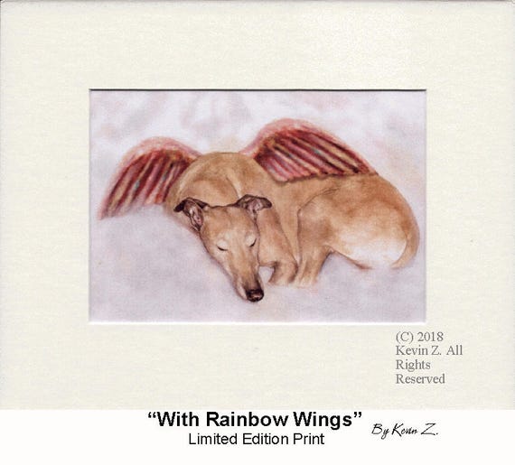 Greyhound Whippet Fawn Angel Rainbow Wings Signed Art Print Etsy