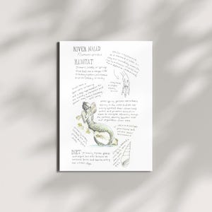 River Naiad Field Guide Art Print - Digital Download Fantasy Illustration - Mythical Creature Wall Art - Mermaid Decor - Faerie Folklore