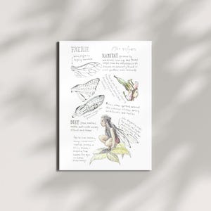 Faerie Field Guide Print – Hand-Illustrated Fantasy Art, Mythical Creature Wall Decor, Nature-Inspired Fairy Illustration