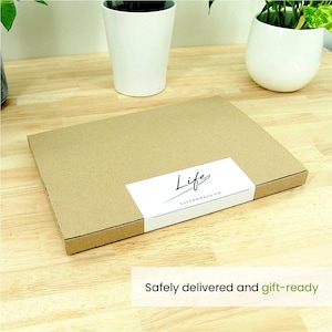 K&ouml;nnte beinhalten: Ein rechteckiger, brauner Karton mit einem wei&szlig;en Etikett mit der Aufschrift "Life LIFEBOARDS UK" in schwarzer Schrift. Die Box steht auf einer hellen Holzoberfl&auml;che, mit zwei wei&szlig;en Topfpflanzen im Hintergrund. Der Text "Safely delivered and gift-ready" steht unten.