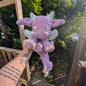 Cato Dragon Snuggler