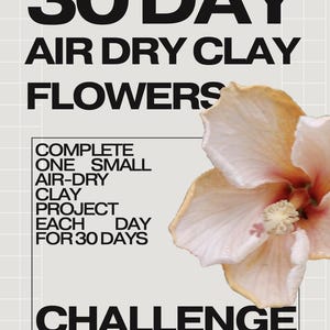 May include: A light gray poster with the text "30 DAY AIR DRY CLAY FLOWERS CHALLENGE". The poster includes instructions to complete one small air-dry clay project each day for 30 days. A peach-colored flower is in the background.