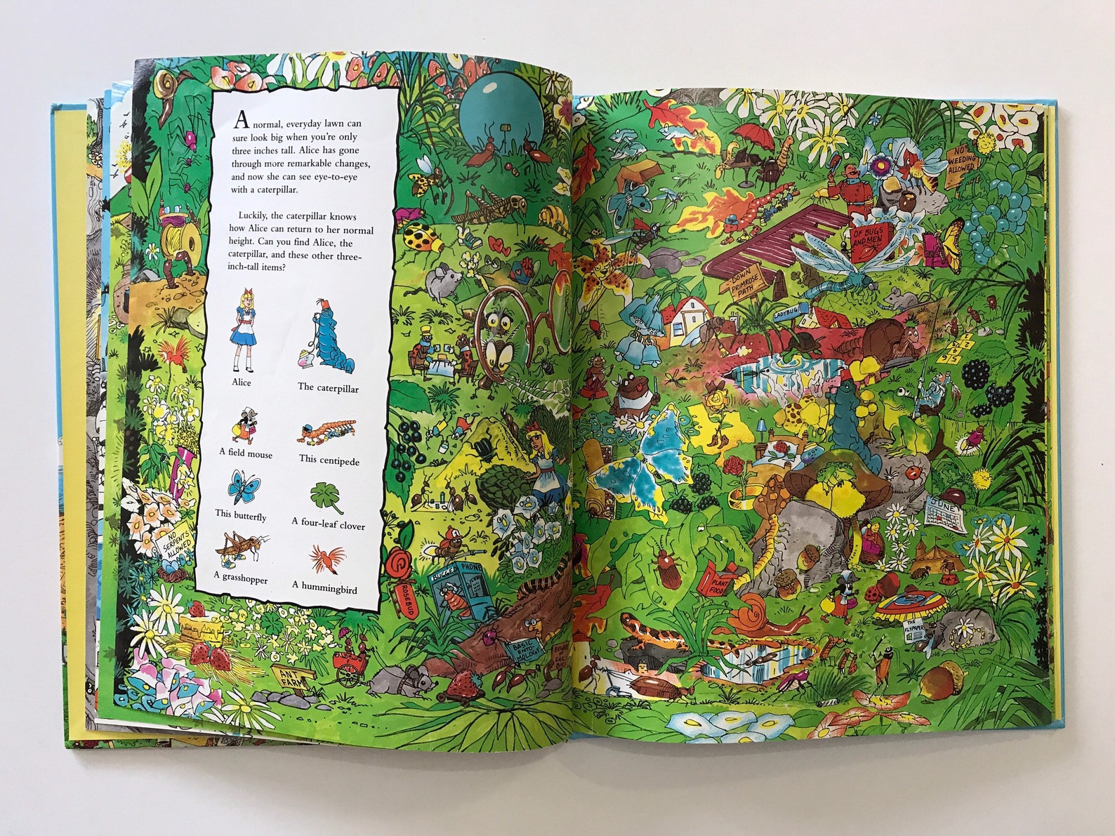 Look and Find Alice in Wonderland Childrens Kids Search N Find Etsy
