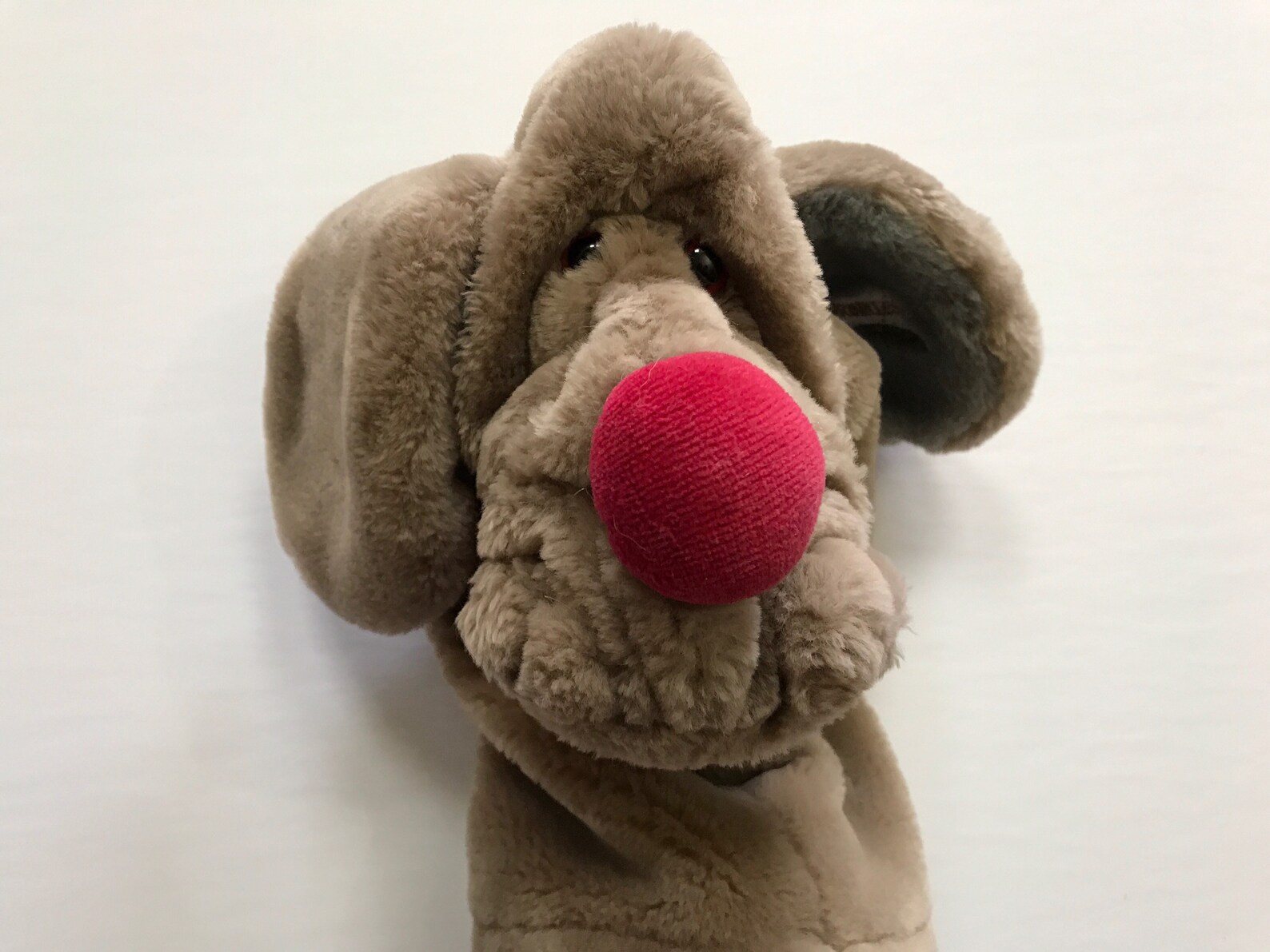 wrinkles dog puppet