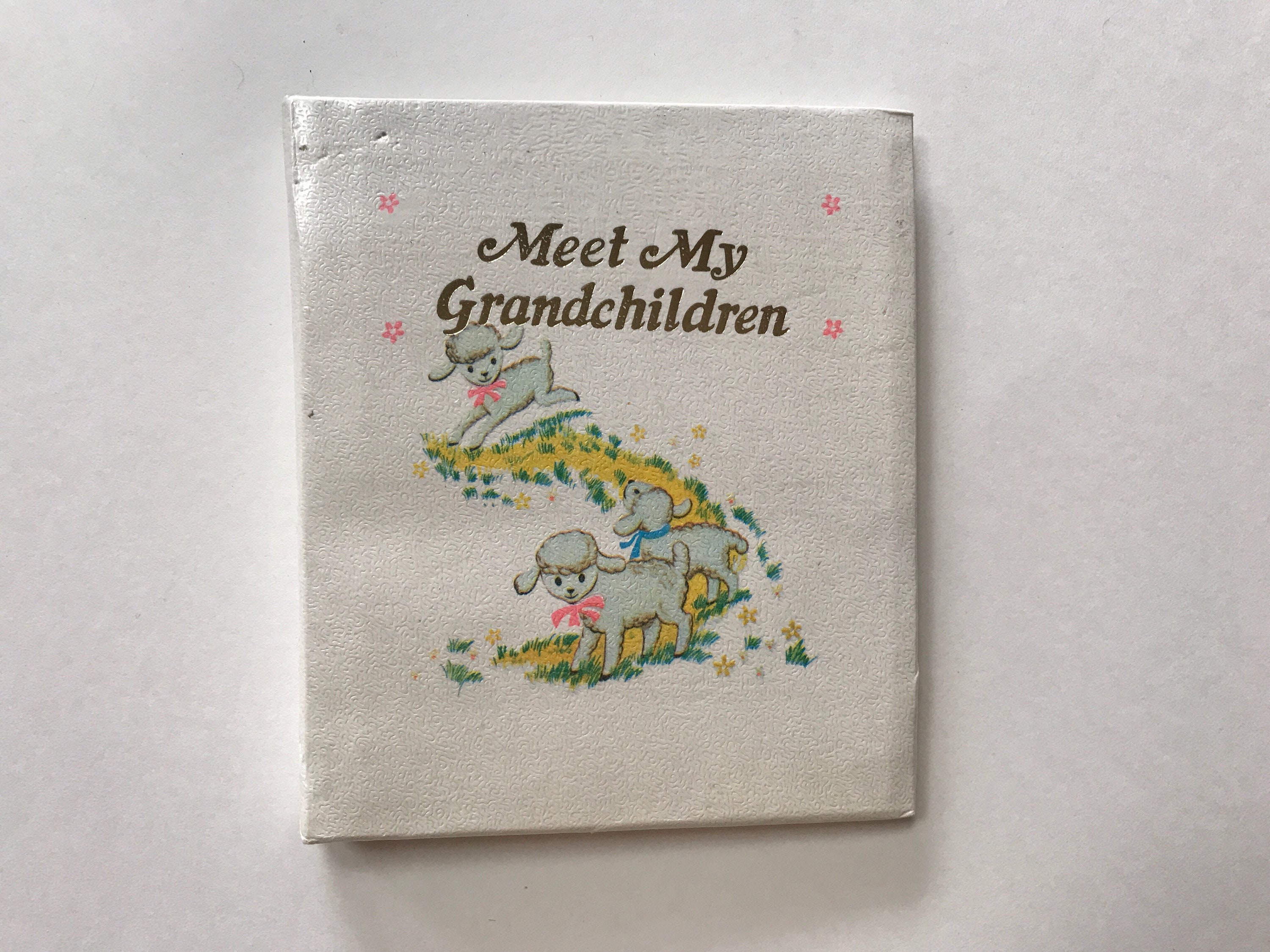 Grandmas Brag Book Pocket Photo Album Kids Photos Pictures 70s - Etsy