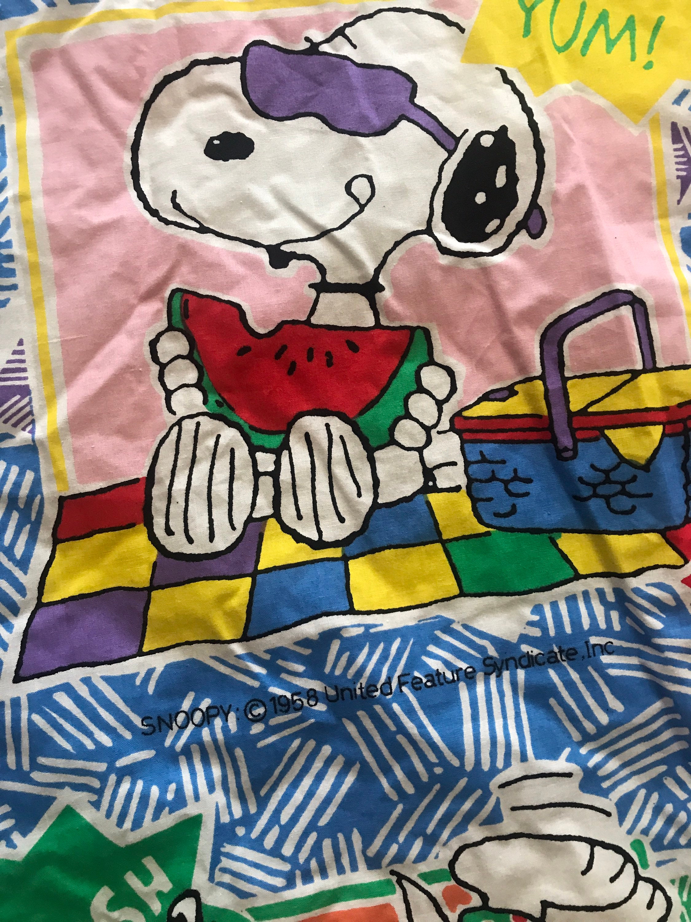 Snoopy Peanuts Twin Comforter Blanket Duvet Cover RARE HTF Joe