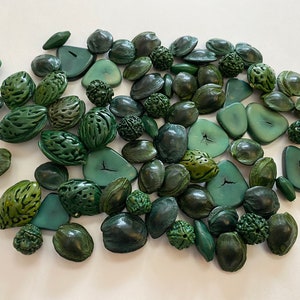 May include: A collection of green, carved, and smooth seed pods. The pods are various shapes and sizes, some are oval, some are round, and some are triangular.