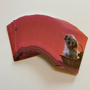 Jeu de cartes chiot chien jeu de cartes complet vintage chien dans un panier