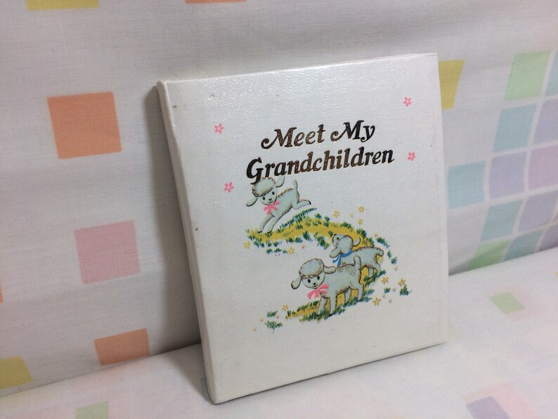 meet cute diary book meet cute diary book