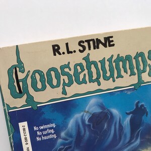 Goosebumps Paperback Book for Kids Teens Young Adults Book 22 Ghost ...