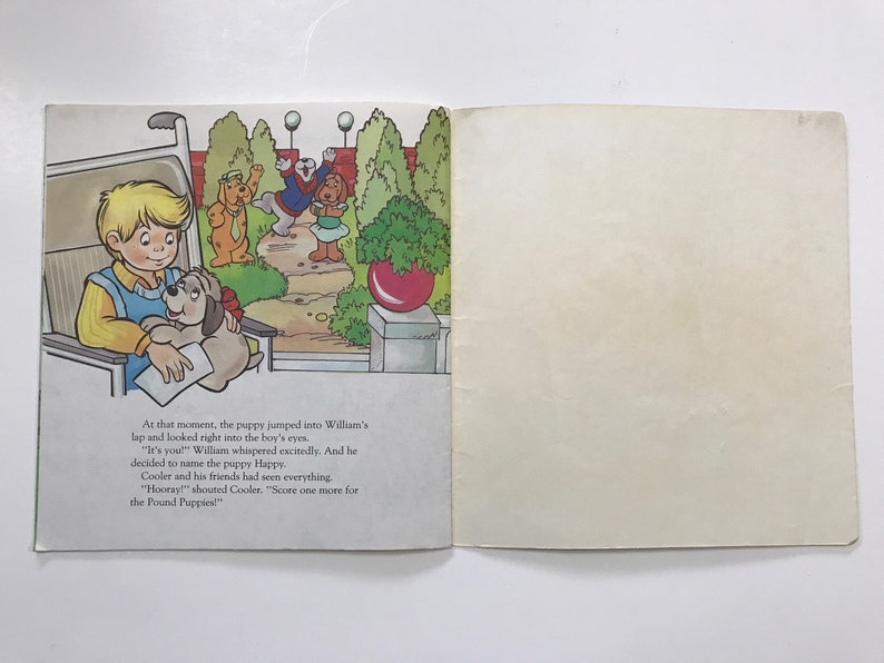 May include: A boy in a wheelchair smiles as a puppy jumps into his lap. The puppy is holding a white envelope. The boy is wearing a yellow shirt and blue pants. The puppy is brown and white. The background shows a park with green trees and a red ball.