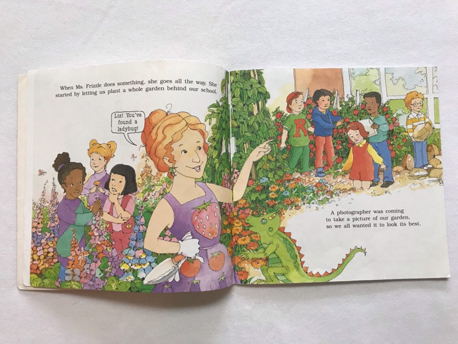 1995 the Magic School Bus Plants Seeds Kids Picture Story Book Etsy