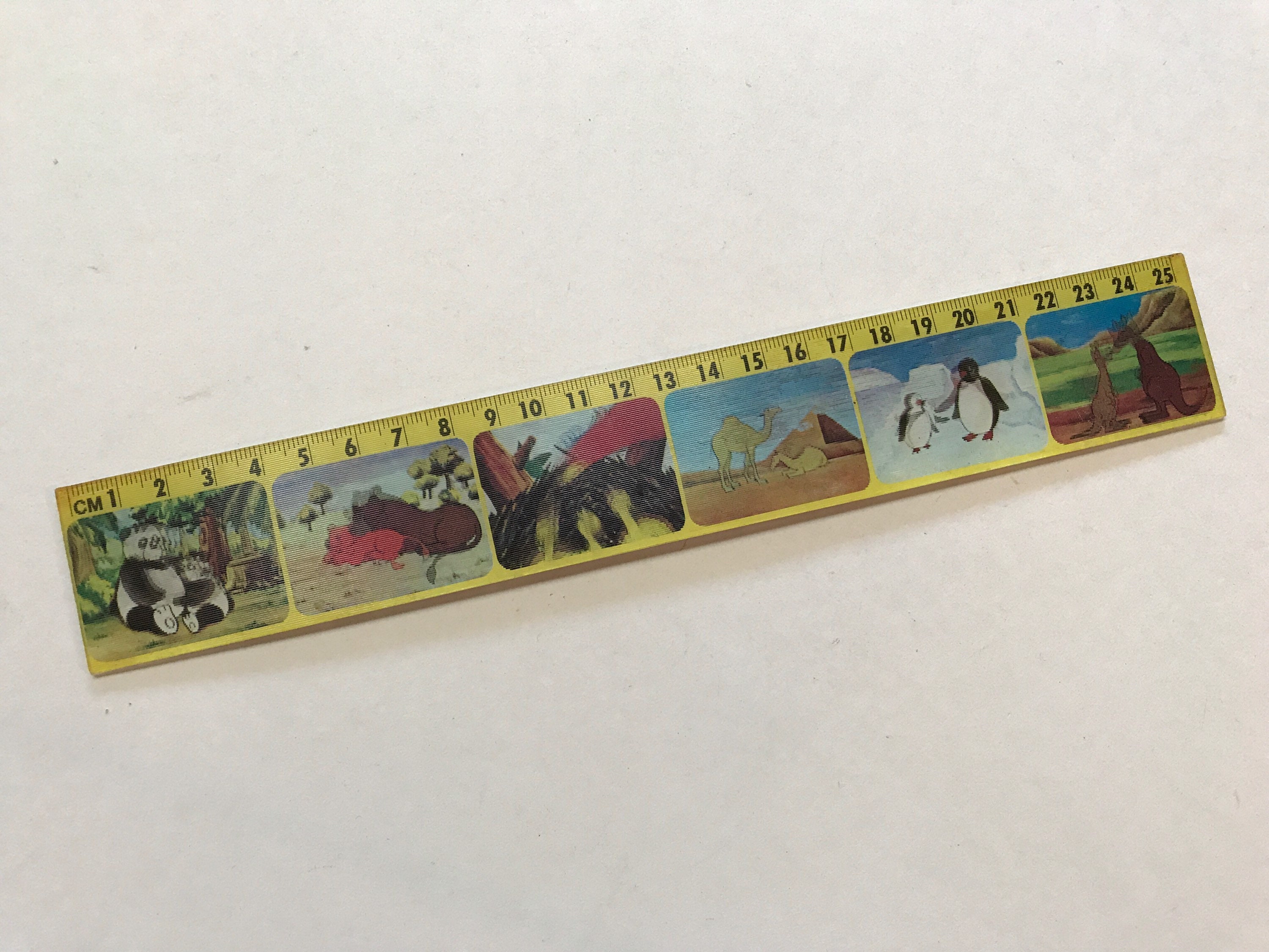Legami Meow Ruler 15cm Ruler Cat Themed Plastic to Measure, Underline and  Draw Precise Ideal for School, Office, Home Stationery 
