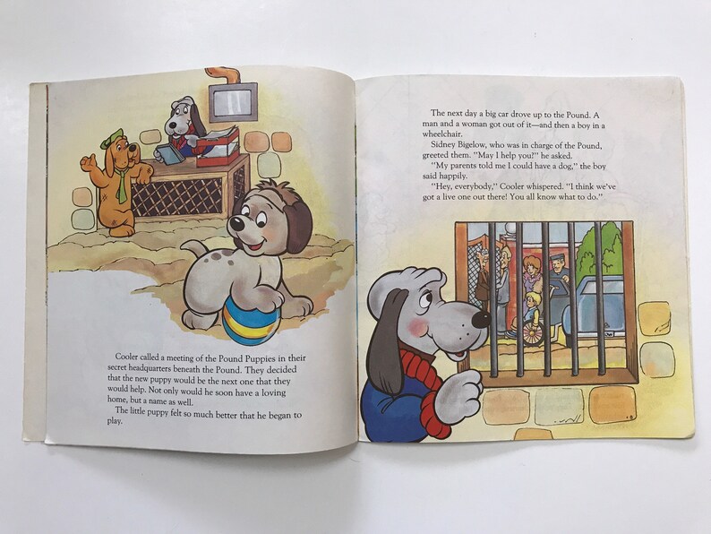 May include: A book illustration of a group of grey dogs in a pound. The dogs are looking out of a cage at a boy in a wheelchair. The text in the image reads, "Hey, everybody. Cooler whispered. "I think we've got a live one out there! You all know what to do."