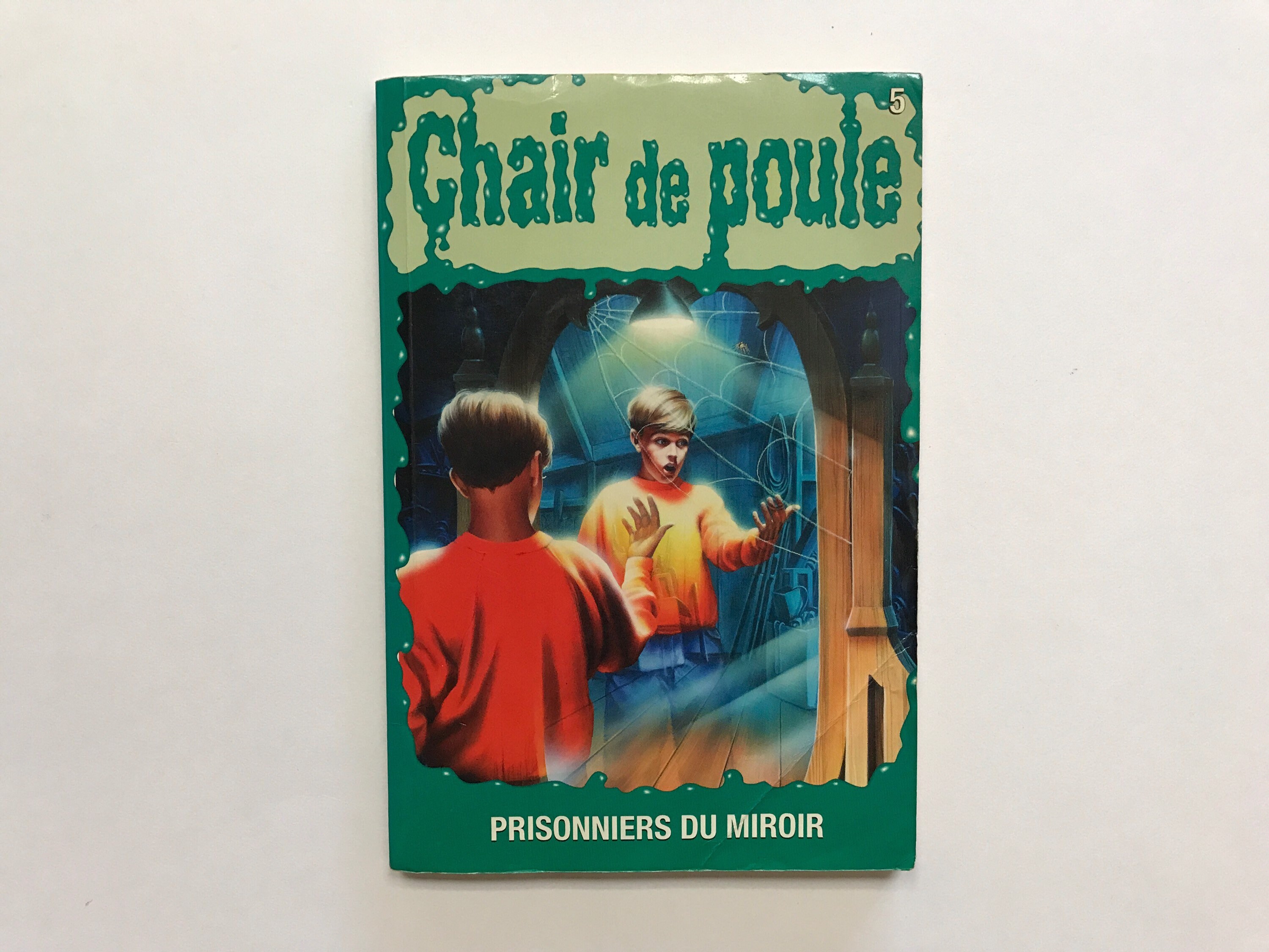 Goosebumps French Chair De Poule Paperback Book for Kids Teens Etsy