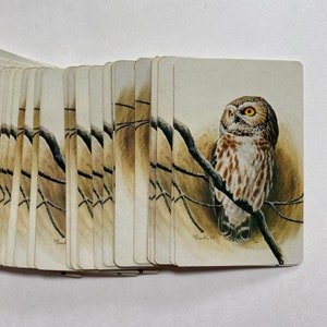 Jeu de cartes hibou jeu de cartes complet vintage des années 1970, collection d'artistes canadiens illustrée Graphica Jean-luc Grondin