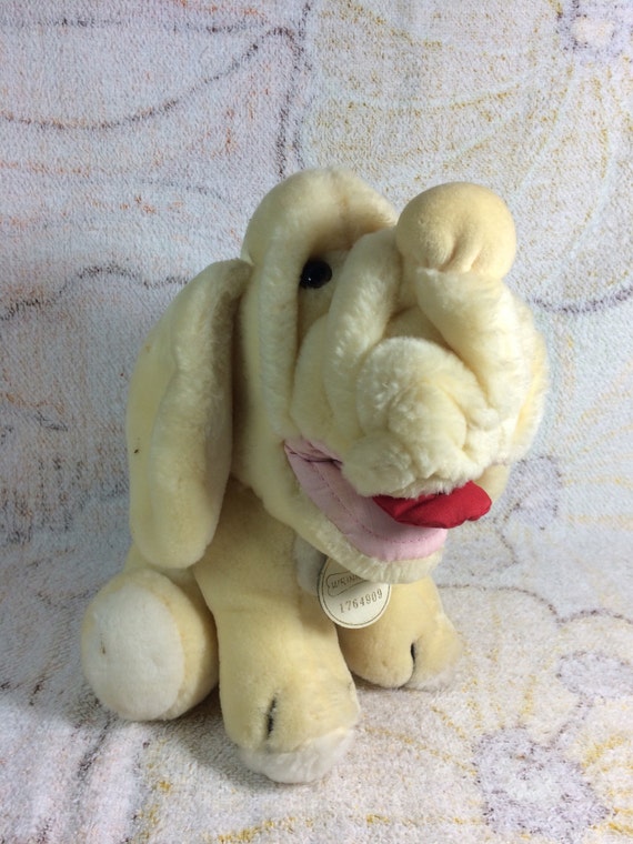 ganz bros wrinkles dog