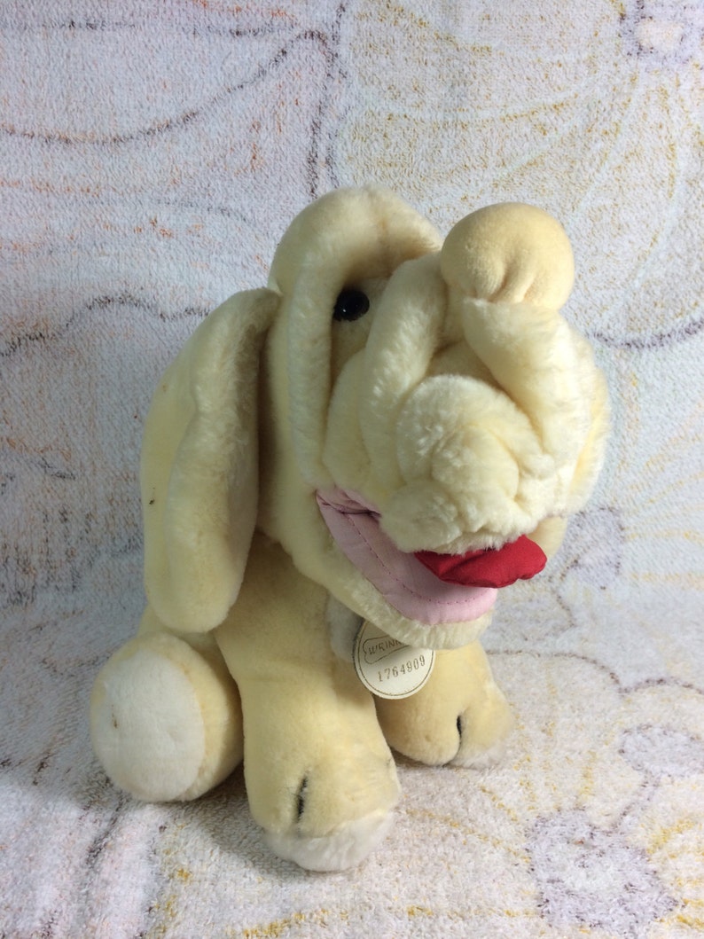 ganz bros wrinkles dog