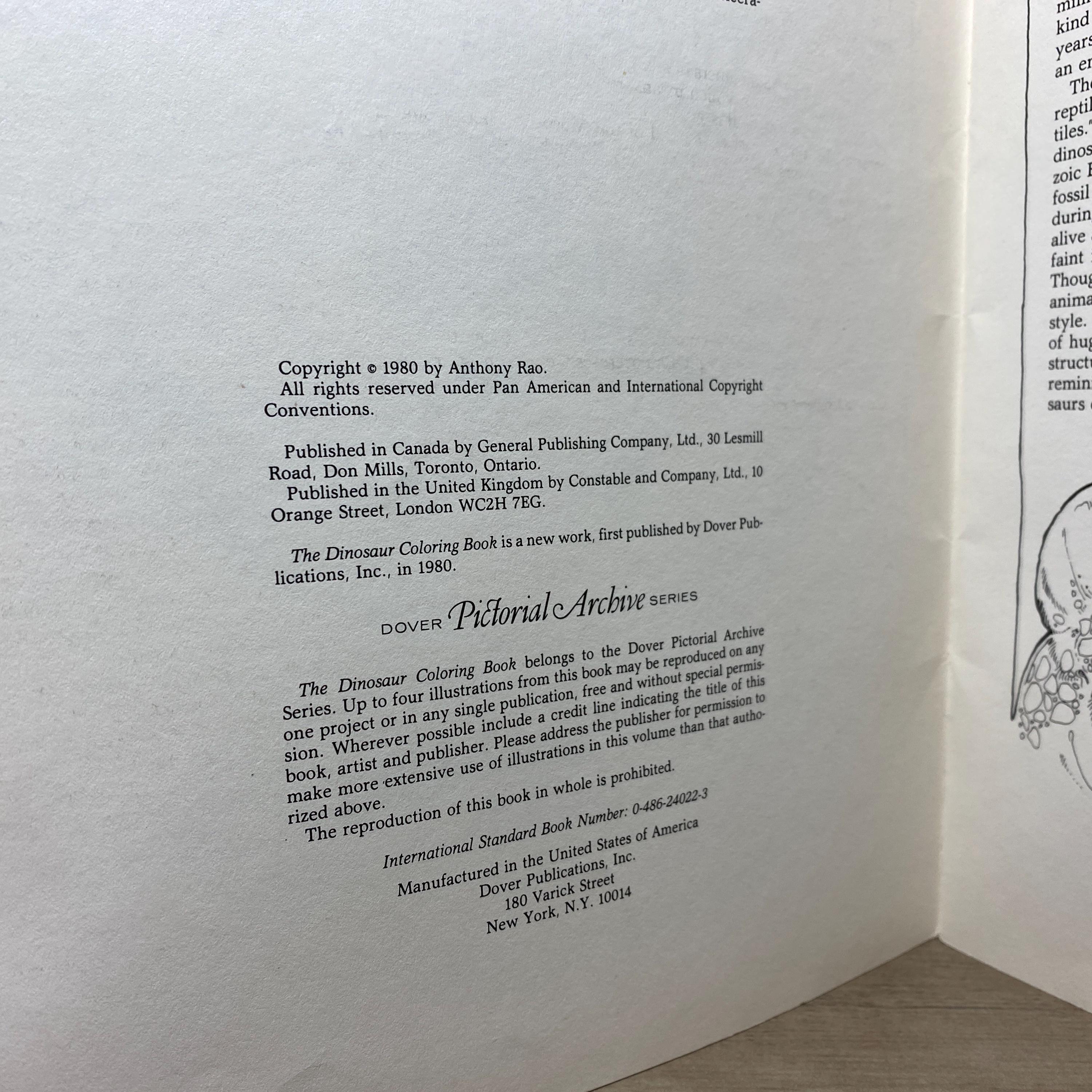 The Dinosaur Coloring Book DOVER by Anthony Rao 1980 UNUSED - Etsy