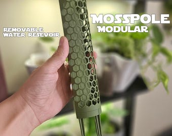 Stackable Moss Pole for Climbing Plants - D-Shape Plant Support for Philodendron & Monstera - Modular  Trellis - Extendable Pole