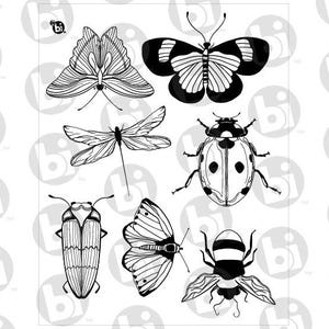 Peut inclure: Illustrations en noir et blanc de différents insectes, dont un papillon, une libellule, une coccinelle, un scarabée et une abeille.