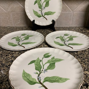 Vintage WS George 4 Piece Luncheon Plate Set Bolero Shape B8760 Made In The USA
