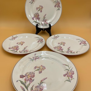 May include: A set of four vintage plates with a floral iris design. The plates are off-white with a silver rim and a black rim on one plate. The iris flowers are purple and yellow.