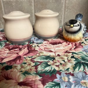 Vintage Pfaltzgraff Aura Salt and Pepper Shaker Set Wedding Gift Friendship Gift Birthday Gift Housewarming Gift Thanksgiving Dinner
