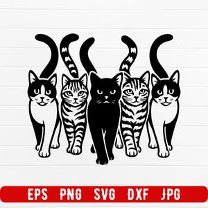 Puede incluir: Gráfico en blanco y negro de cinco gatos con las colas arqueadas. Los gatos tienen diferentes marcas, incluyendo patrones de esmoquin en blanco y negro y rayas atigradas. La imagen incluye el texto "EPS PNG SVG DXF JPG" en una pancarta roja.