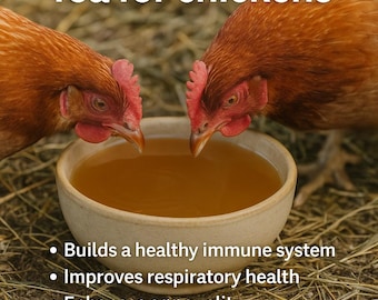 Poultry Health Tea
