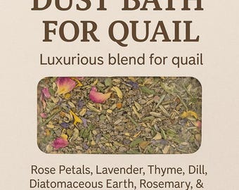 Dust bath for Quail