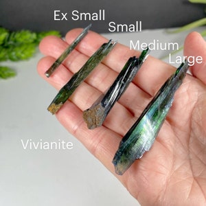 May include: Four green and black vivianite crystals of varying sizes, labeled "Ex Small", "Small", "Medium", and "Large".